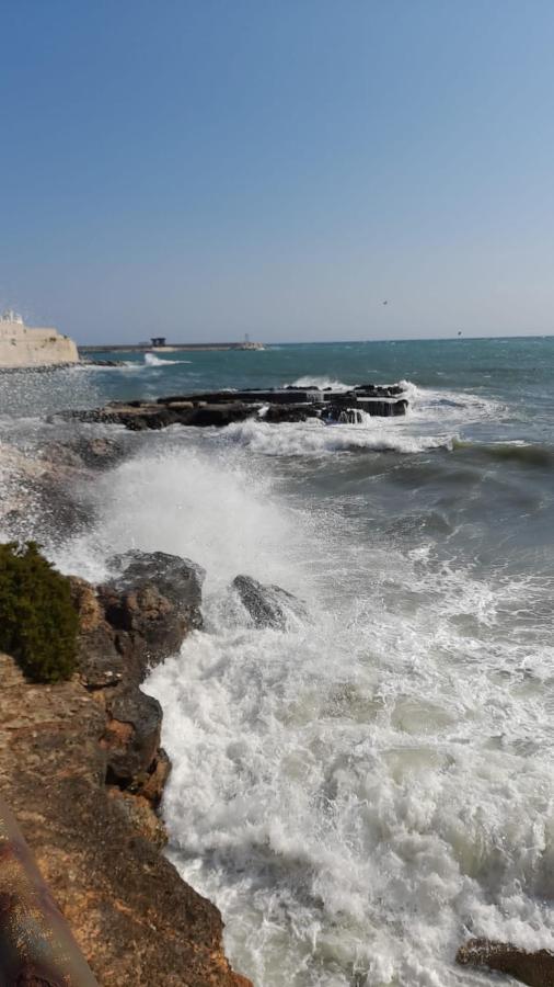 Il Vecchio Carrubo - Villa Con Piscina A Sfioro Macchia di Monte エクステリア 写真