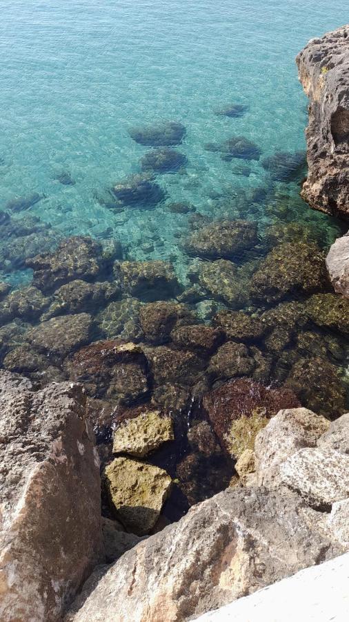 Il Vecchio Carrubo - Villa Con Piscina A Sfioro Macchia di Monte エクステリア 写真